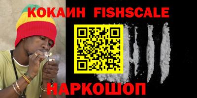 шишки Партизанск